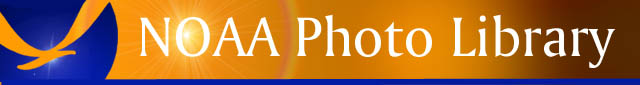 NOAA Photo Library Banner